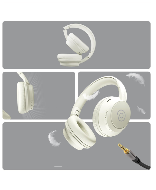 𝗣 𝗧𝗿𝗼𝗻 𝗦𝘁𝘂𝗱𝗶𝗼 𝗘𝘃𝗼